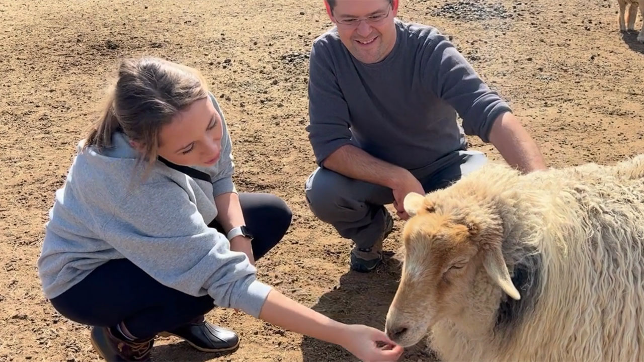 San Diego Business Networking Mixer & Fundraiser at Alpine Acres Sanctuary Farm